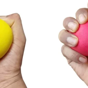 Physio Ball