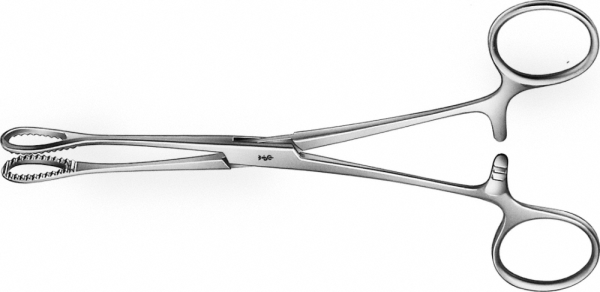 Sponge Forceps Price in Pakistan - Image 2